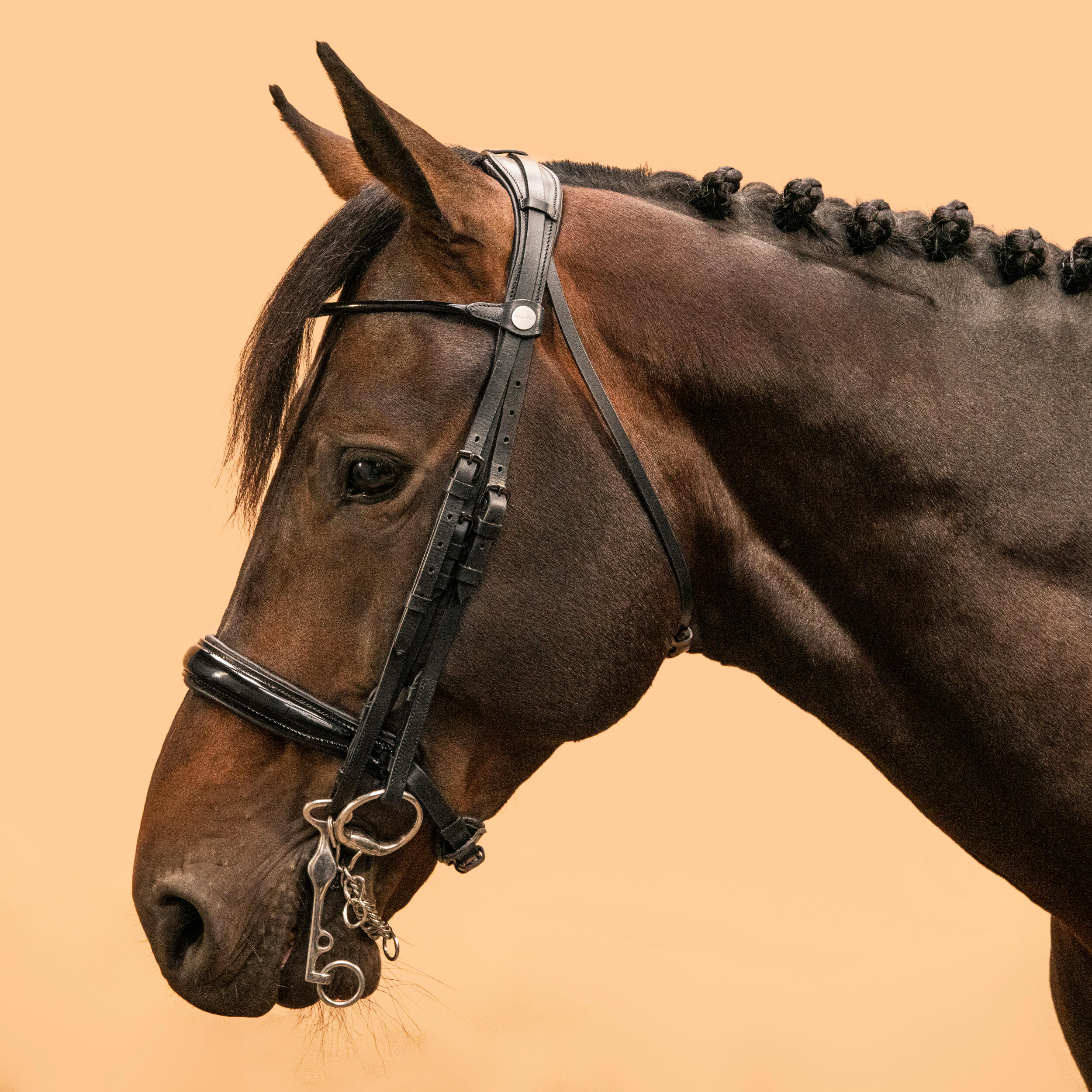 Fouganza Kandarenzaum 900 Pony/Pferd schwarz