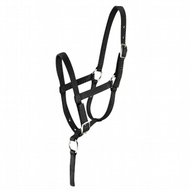 Fouganza Fohlenhalfter Foal schwarz