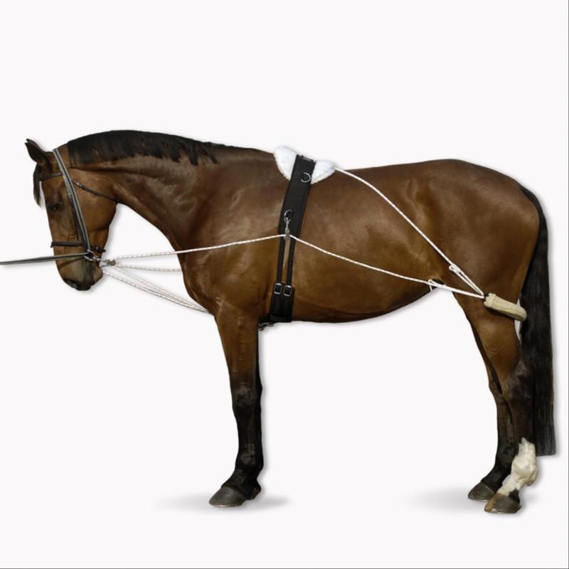 No Brand Hilfszügel VS Pferd weiß