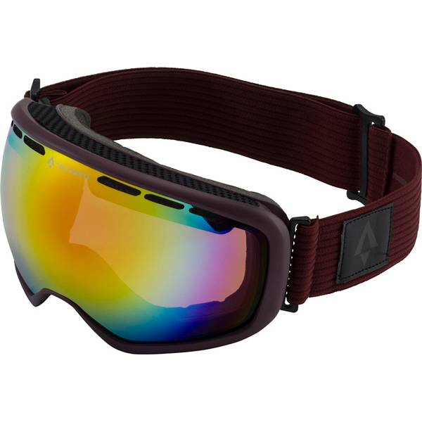 TECNOPRO Herren Skibrille Ten-Nine Revo