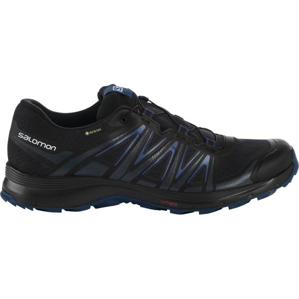 SALOMON Herren Trailrunningschuhe XA SIERRA GTX