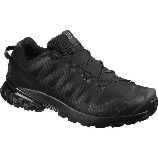 SALOMON Herren Trailrunningschuhe XA PRO 3D V8 GTX