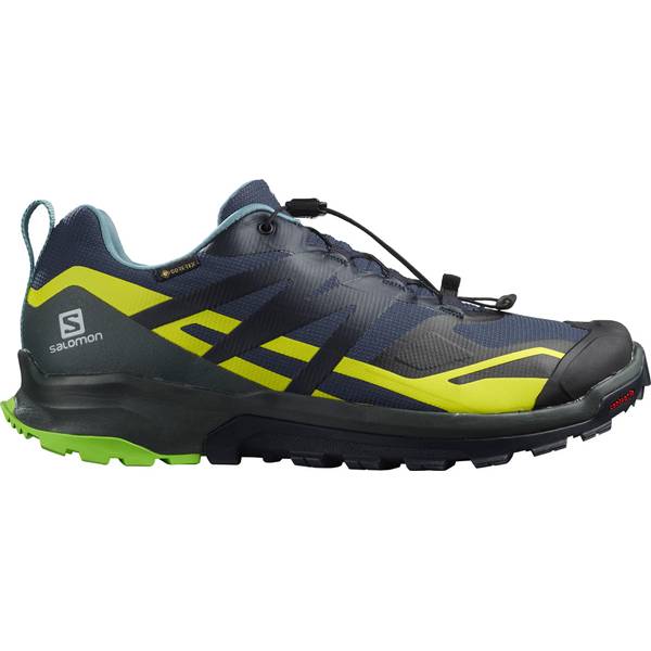 SALOMON Herren Trailrunningschuhe SHOES XA ROGG 2 GTX Mood I/Urban Chic/Ev