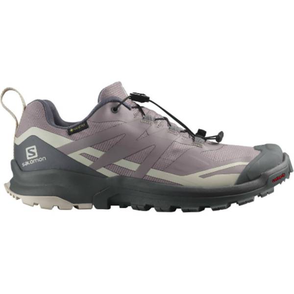 SALOMON Damen Trailrunningschuhe SHOES XA ROGG 2 GTX W Quail/FrstGy/Morga