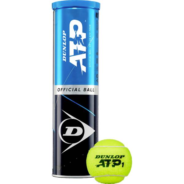 DUNLOP Tennisball FORT CLAY COURT 4er