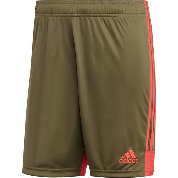 ADIDAS Herren Tastigo 19 Shorts