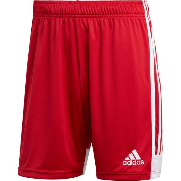 adidas Herren Tastigo 19 Shorts