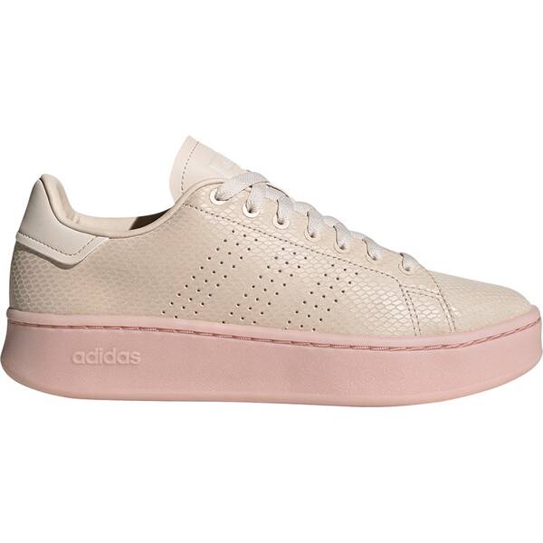 ADIDAS Damen Tennisindoorschuhe ADVANTAGE BOLD