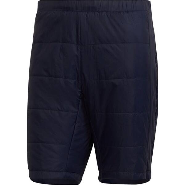 adidas Herren TERREX PrimaLoft Insulation Shorts