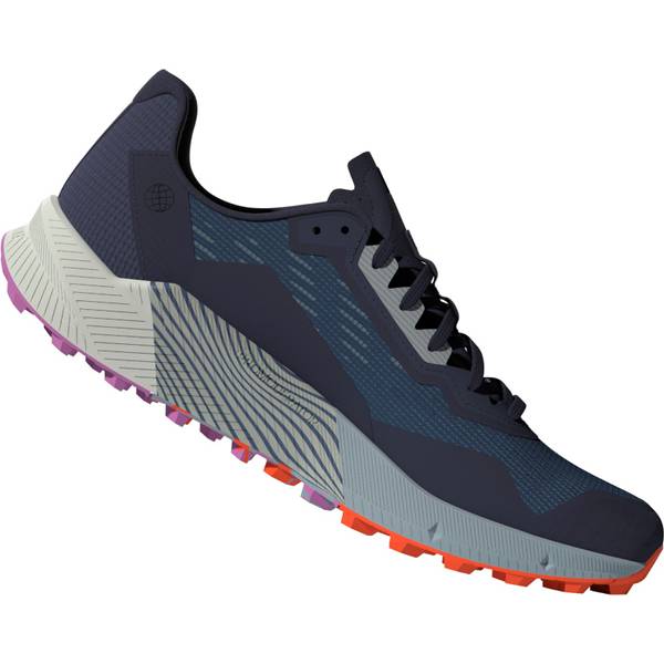 ADIDAS Herren Trailrunningschuhe TERREX AGRAVIC FLOW 2 GTX