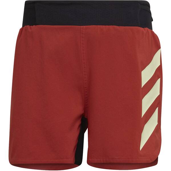 adidas Herren TERREX Agravic Shorts