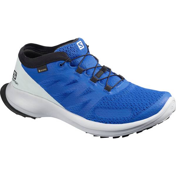 SALOMON Herren Trailrunningschuhe SENSE FLOW GTX