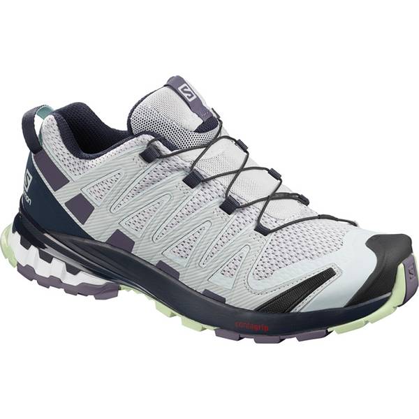 SALOMON Damen Trailrunningschuhe XA PRO 3D v8