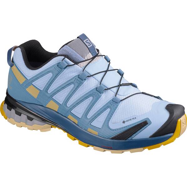 SALOMON Damen Trailrunningschuhe XA PRO 3D v8 GTX