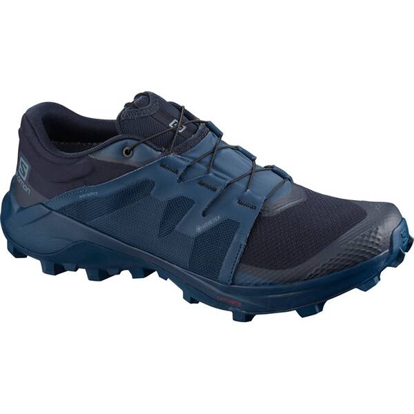 SALOMON Herren Trailrunningschuhe WILDCROSS GTX