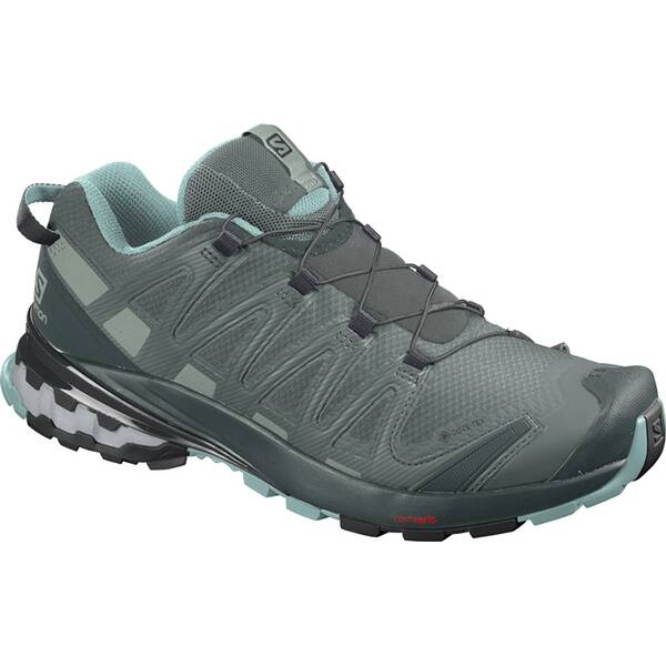 SALOMON Damen Trailrunningschuhe XA PRO 3D v8 GTX