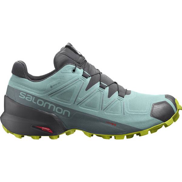 SALOMON Damen Trailrunningschuhe Speedcross 5 GTX