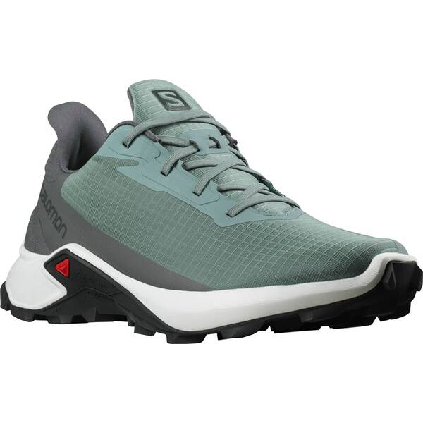 SALOMON Herren Trailrunningschuhe SHOES ALPHACROSS 3 Trooper/White/Magnet