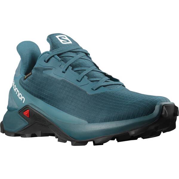 SALOMON Herren Trailrunningschuhe SHOES ALPHACROSS 3 GTX Legion/Mallard Bl