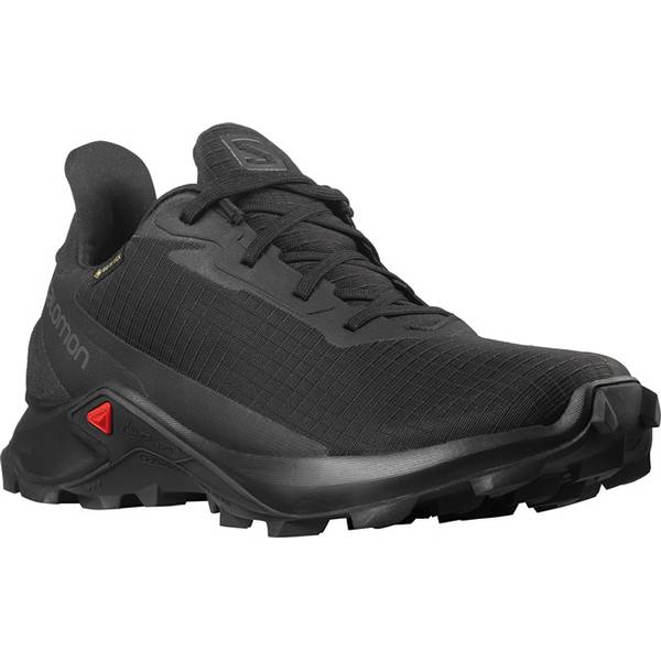 SALOMON Damen Trailrunningschuhe SHOES ALPHACROSS 3 GTX W Black/Black/Bla