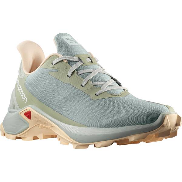 SALOMON Damen Trailrunningschuhe SHOES ALPHACROSS 3 W Wrought Iron/Metal