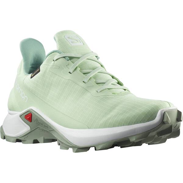 SALOMON Damen Trailrunningschuhe SHOES ALPHACROSS 3 GTX W Spray/Wht/Wroug