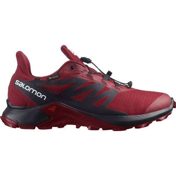 SALOMON Herren Trailrunningschuhe SHOES SUPERCROSS 3 GTX Bird/Wht/Black