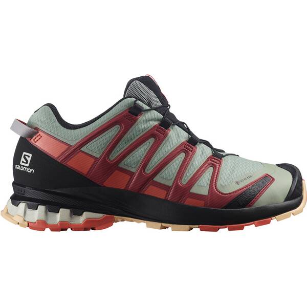 SALOMON Damen Trailrunningschuhe SHOES XA PRO 3D v8 GTX W Wrought Iron/Bu
