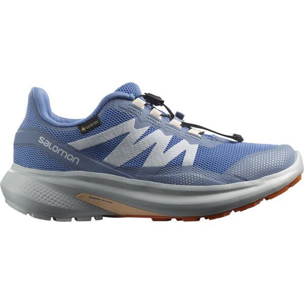 SALOMON Damen Trailrunningschuhe SHOES HYPULSE GTX W Riviera/Pearl Blue/A