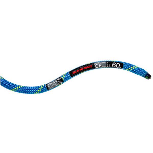 REEBOK Damen Walkingschuhe RIDGERIDER 6 GTX