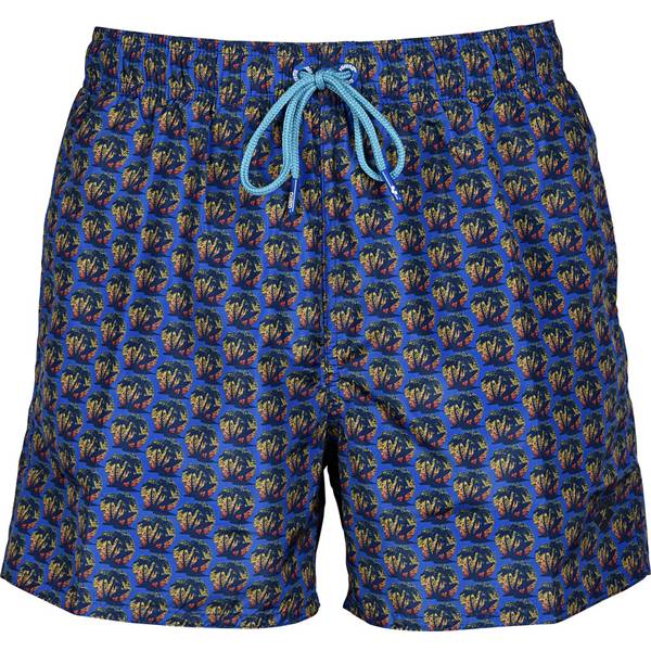 ARENA Herren Badeshorts MEN'S BEACH SHORT ALLOVER