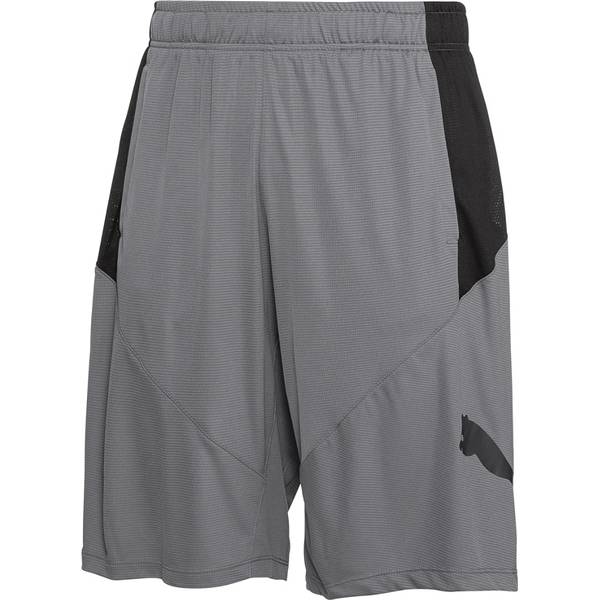 PUMA Herren Shorts PUMA Cat Short