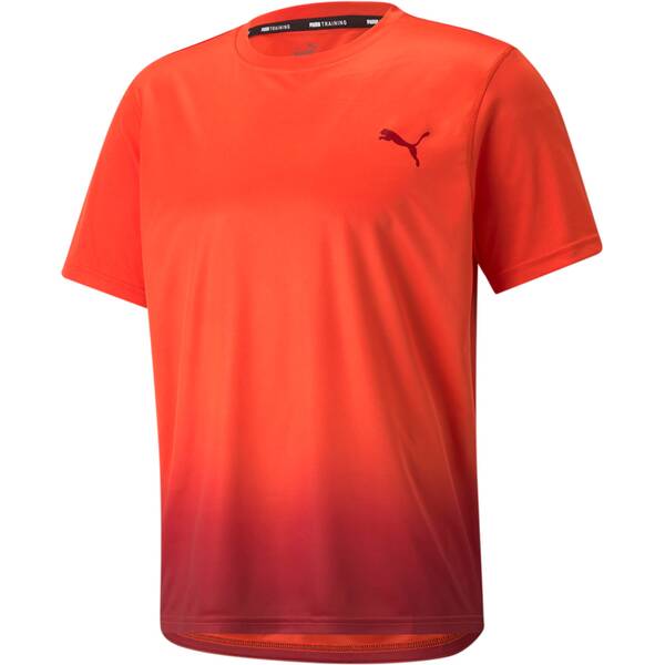 PUMA Herren Shirt Fade AOP Tee