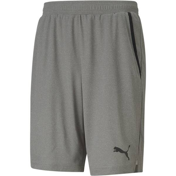 PUMA Herren Shorts RTG Interlock Shorts 10