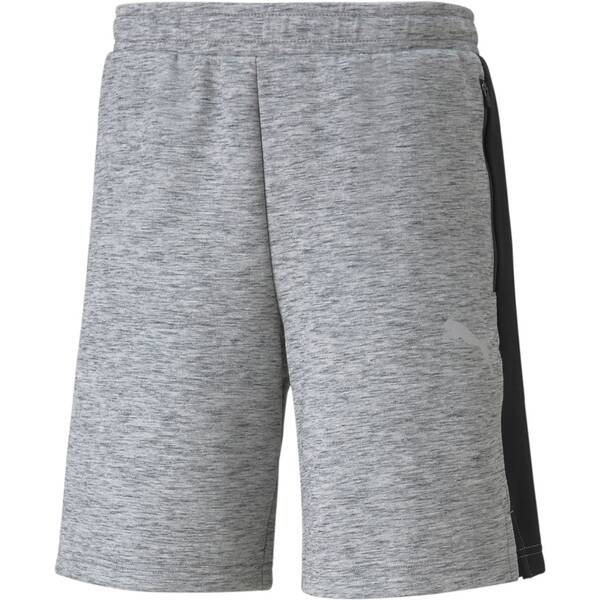 PUMA Herren Shorts EVOSTRIPE Shorts 8