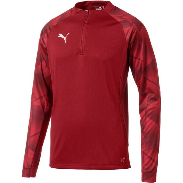 Puma Herren Fußballtrikot ftblNXT 1/4 Zip Top