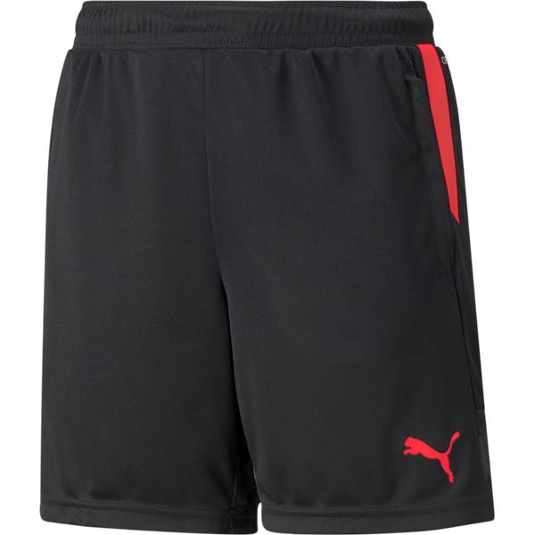 PUMA Kinder Shorts individualCUP Shorts Jr