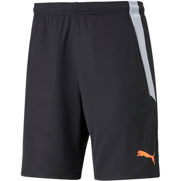 PUMA Herren Shorts teamLIGA Training Shorts 2