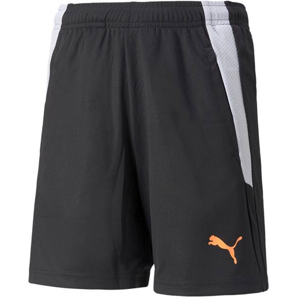 PUMA Kinder Shorts teamLIGA Training Shorts 2