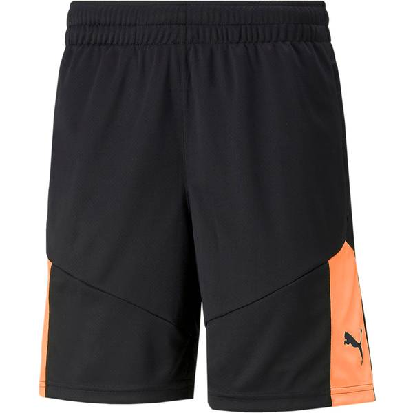 PUMA Herren Shorts individualFINAL Training S