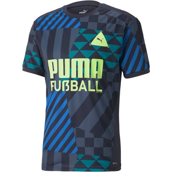 PUMA Herren Fantrikot Fussball PARK Jersey