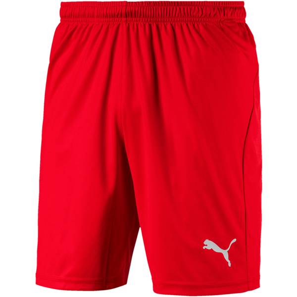 PUMA Replicas - Shorts - National LIGA Core Short