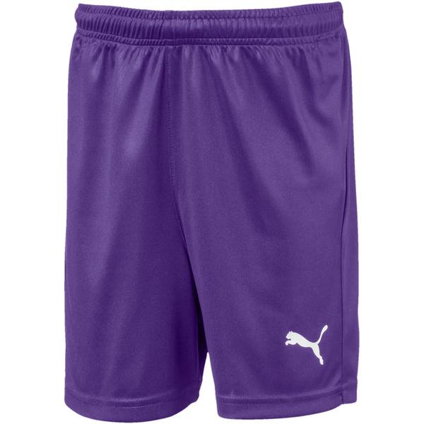 PUMA Fußball - Teamsport Textil - Shorts LIGA Core Short Kids