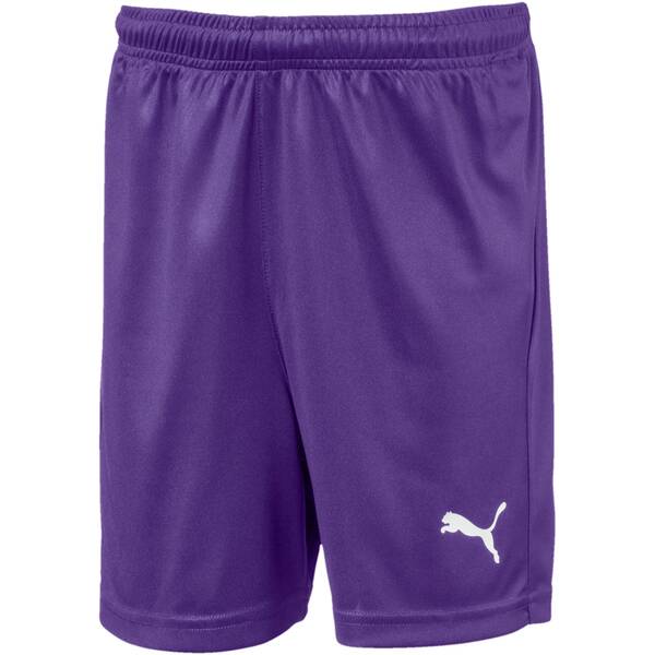 PUMA Fußball - Teamsport Textil - Shorts LIGA Core Short Kids