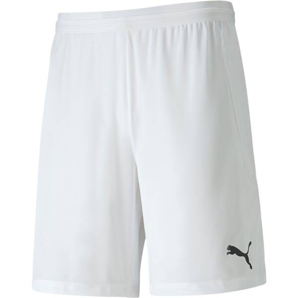 PUMA Herren Shorts teamFINAL 21 knit