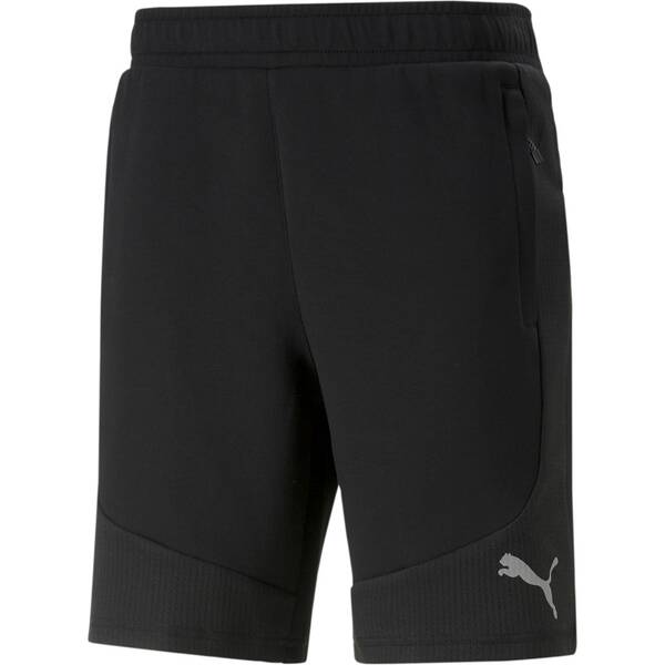 PUMA Herren Shorts Evostripe Shorts 8
