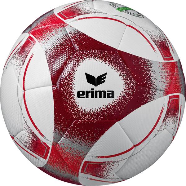 ERIMA Fußball Hybrid Training 2.0