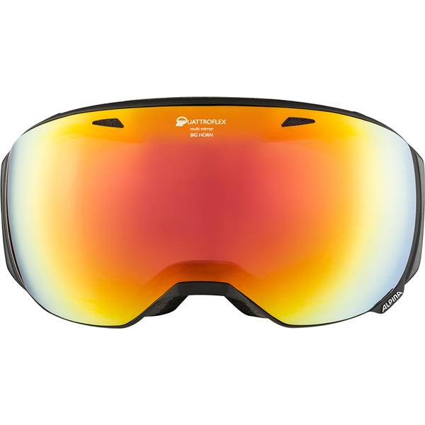 ALPINA Damen und Herren Skibrille Big Horn QMM