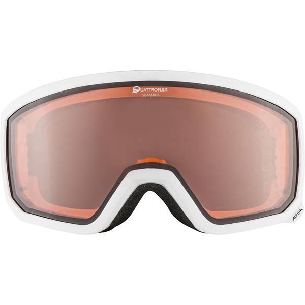 ALPINA Ski- und Snowboardbrille Scarabeo QH