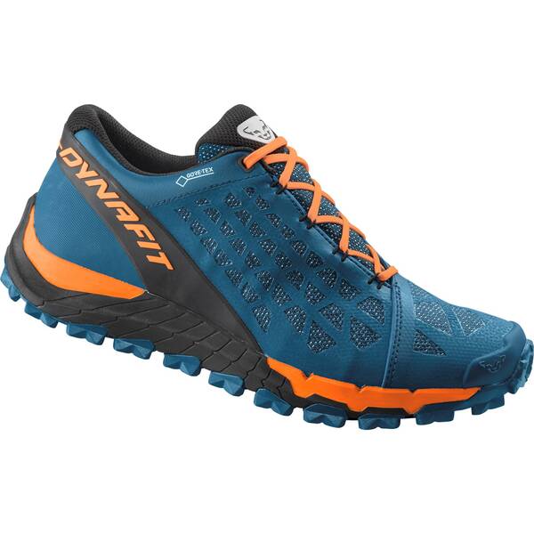 DYNAFIT Herren Trailrunningschuhe TRAILBREAKER EVO GTX